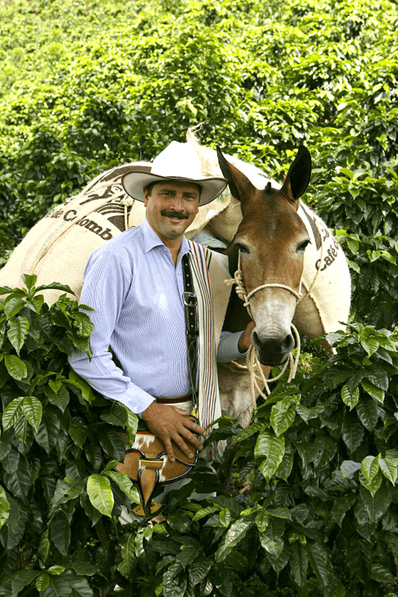 Juan Valdez kahve yetiştiricisi Kolombiya kahve plantasyonunda
